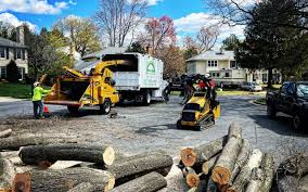 Best Commercial Tree Services  in Roseburg Nth, OR