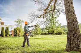 Lawn Pest Prevention in Roseburg North, OR