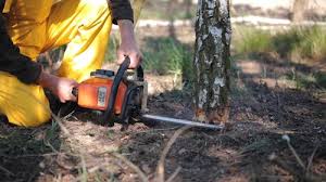 Soil Testing and Treatment in Roseburg North, OR